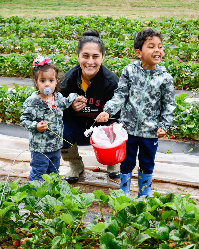 Mother's Day U-Pick Strawberries