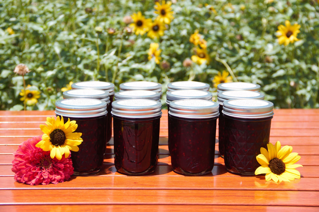 Last Days for U-Pick Blackberries!