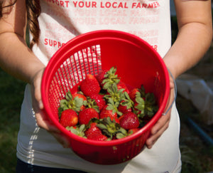 U-Pick Hours - This Saturday!